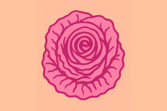 Ilustración estilizada de una rosa en tonos rosados que simboliza la belleza y diversidad natural de los labios vaginales.